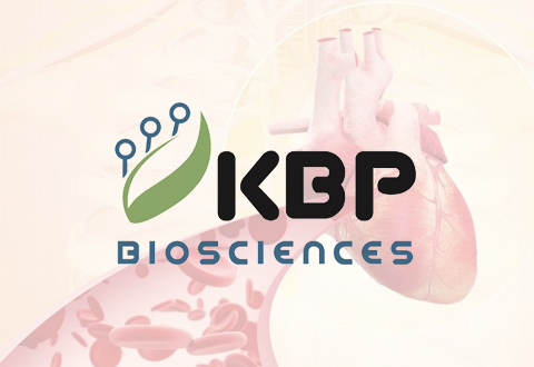 诺和诺德引进KBP Biosciences开发的3期临床新药